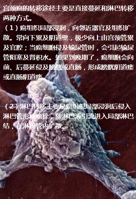 图片67.png