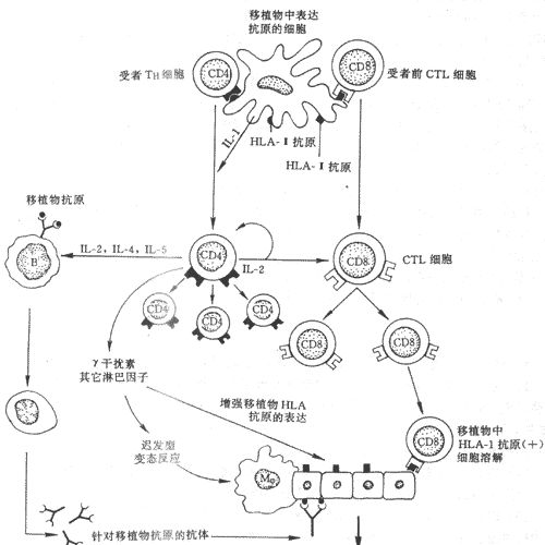 图片157.png