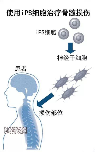 微信图片_20190219103632.jpg